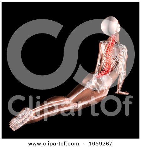 Royalty-Free CGI Clip Art Illustration of a 3d Female Skeleton Stretching With A Highlighted Spine by KJ Pargeter