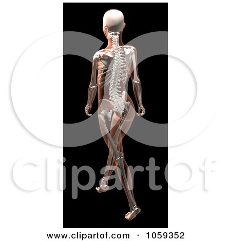 Royalty-Free CGI Clip Art Illustration of a 3d Skeletal Woman's Body Walking by KJ Pargeter