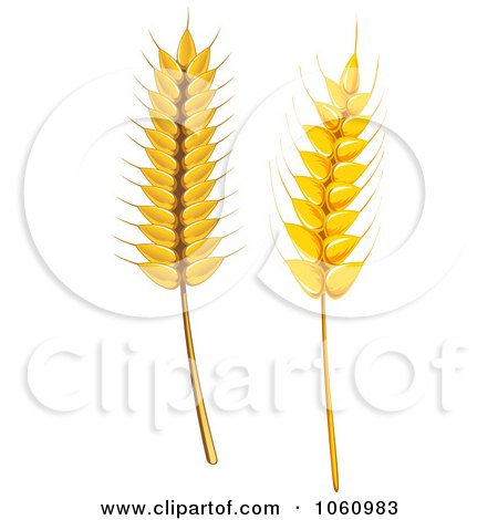 Royalty-Free Vector Clip Art Illustration of a Digital Collage Of Grains - 1 by Vector Tradition SM