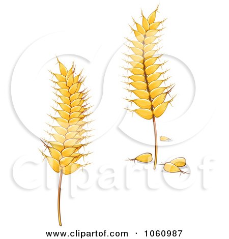 Royalty-Free Vector Clip Art Illustration of a Digital Collage Of Grains - 2 by Vector Tradition SM