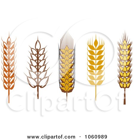 Royalty-Free Vector Clip Art Illustration of a Digital Collage Of Grains - 3 by Vector Tradition SM