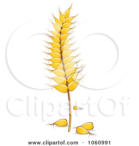 Royalty-Free Vector Clip Art Illustration of a Strand of Wheat - 4 by Vector Tradition SM