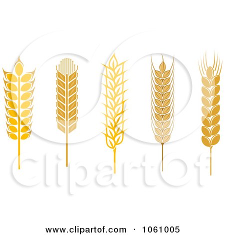 Royalty-Free Vector Clip Art Illustration of a Digital Collage Of Grains - 6 by Vector Tradition SM