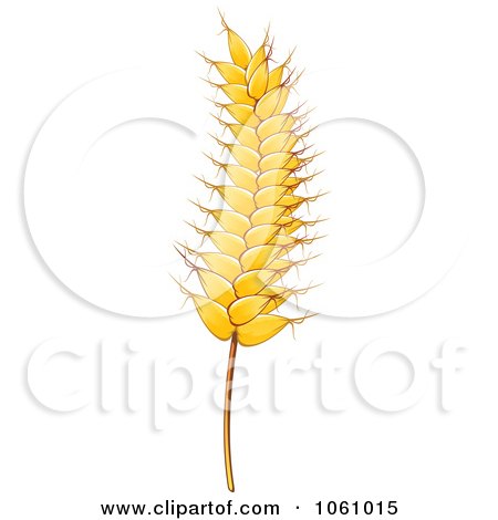 Royalty-Free Vector Clip Art Illustration of a Strand of Wheat - 3 by Vector Tradition SM