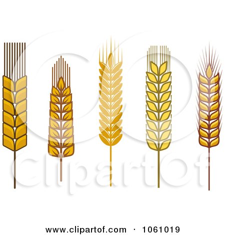 Royalty-Free Vector Clip Art Illustration of a Digital Collage Of Grains - 4 by Vector Tradition SM