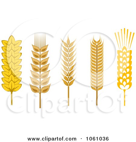 Royalty-Free Vector Clip Art Illustration of a Digital Collage Of Grains - 5 by Vector Tradition SM