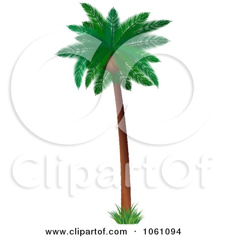 3d Coconut Palm Tree With Lush Green Foliage - Royalty Free Vector Clip Art Illustration by KJ Pargeter