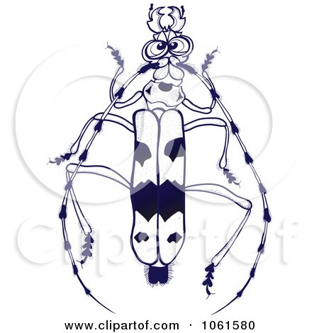 Clipart Rosalia Alpina Beetle Black And White - Royalty Free Vector Illustration by Zooco