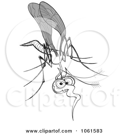 Clipart Mosquito In Black And White - Royalty Free Vector Illustration by Zooco