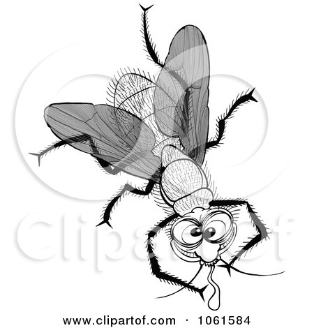 Clipart Drinking Fly In Black And White - Royalty Free Vector Illustration by Zooco