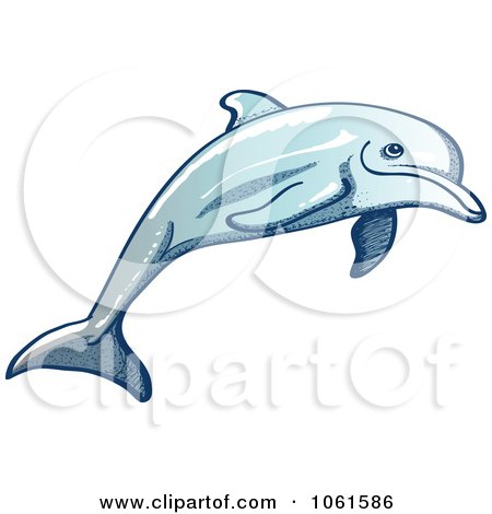 Clipart Happy Dolphin Leaping - Royalty Free Vector Illustration by Zooco