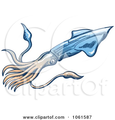 Clipart Blue And Beige Squid - Royalty Free Vector Illustration by Zooco