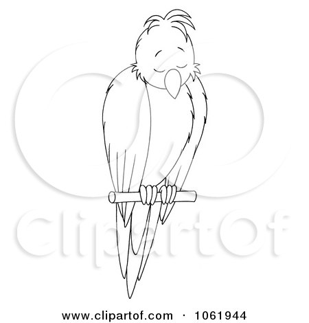 Clipart Outlined Sleeping Perched Bird - Royalty Free Illustration by Alex Bannykh