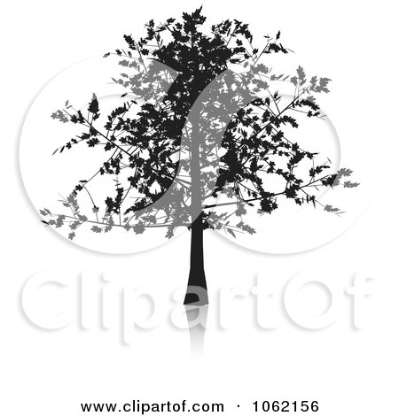 Clipart Oak Tree In Silhouette - Royalty Free Vector Illustration by KJ Pargeter