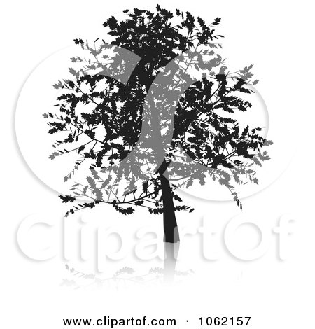 Clipart Oak Tree Silhouetted - Royalty Free Vector Illustration by KJ Pargeter