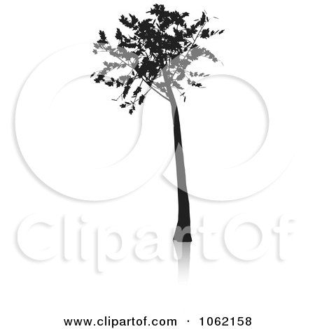 Clipart Oak Tree Silhouette - Royalty Free Vector Illustration by KJ Pargeter