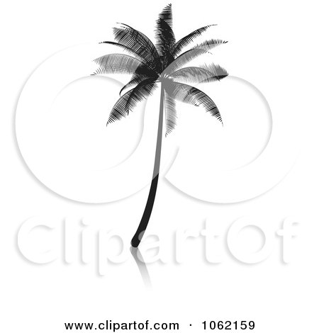 Clipart Palm Tree Silhouette - Royalty Free Vector Illustration by KJ Pargeter