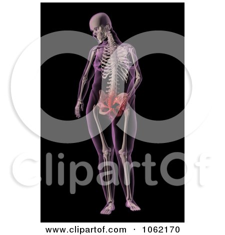 Clipart 3d Overweight Female Skeleton With A Stomach Ache - Royalty Free CGI Illustration by KJ Pargeter