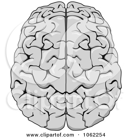Clipart Human Brain 1 - Royalty Free Vector Illustration by Vector Tradition SM