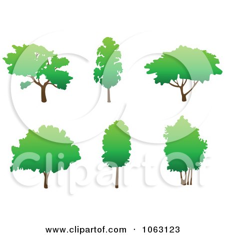 Clipart Trees Digital Collage 10 - Royalty Free Vector Illustration by Vector Tradition SM