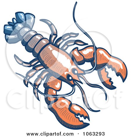 Clipart Lobster - Royalty Free Vector Illustration by Zooco