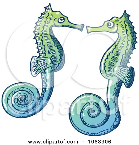 Clipart Two Seahorses - Royalty Free Vector Illustration by Zooco