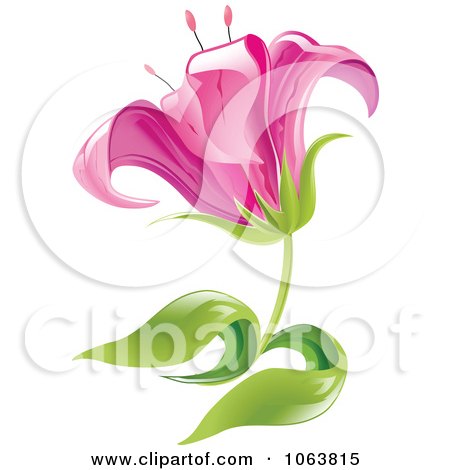 Clipart Pink Lily Flower - Royalty Free Vector Illustration by Vector Tradition SM
