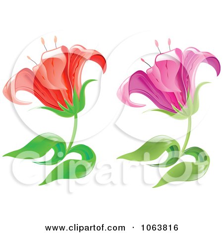 Clipart Lily Flowers Digital Collage - Royalty Free Vector Illustration by Vector Tradition SM