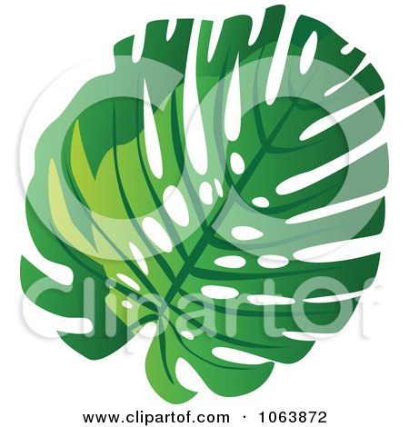 Clipart Swiss Cheese Plant Leaf - Royalty Free Vector Illustration by Vector Tradition SM