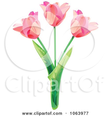 Clipart Three Pink Tulips - Royalty Free Vector Illustration by Vector Tradition SM