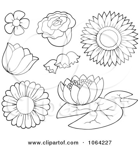 Clipart Outlined Flowers - Royalty Free Vector Illustration by visekart