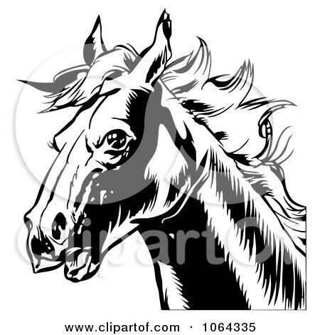 Clipart Black Horse Head - Royalty Free Vector Illustration by dero