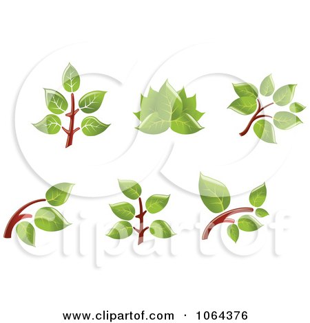Clipart Leafy Branch Icons Design Elements - Royalty Free Vector Illustration by Vector Tradition SM