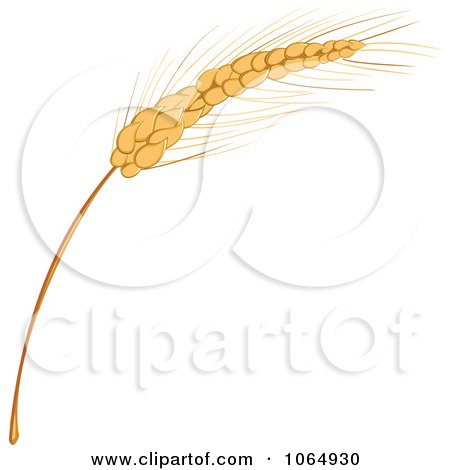 Clipart Strand Of Grains - Royalty Free Vector Illustration by Vector Tradition SM