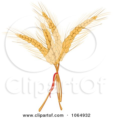Clipart Stalks Of Grains - Royalty Free Vector Illustration by Vector Tradition SM