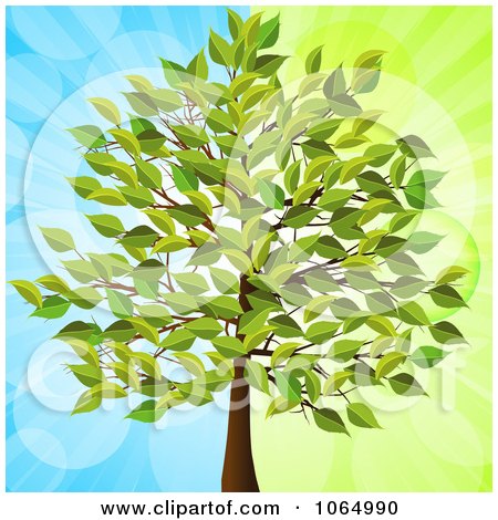 Clipart 3d Tree Over Blue And Green - Royalty Free Vector Illustration by elaineitalia