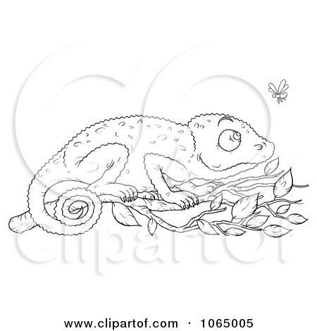 Clipart Outlined Chameleon Watching A Fly - Royalty Free Illustration by Alex Bannykh