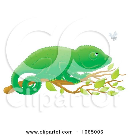 Clipart Chameleon Watching A Fly - Royalty Free Illustration by Alex Bannykh
