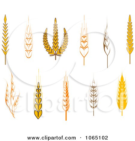Clipart Grains Digital Collage 6 - Royalty Free Vector Illustration by Vector Tradition SM