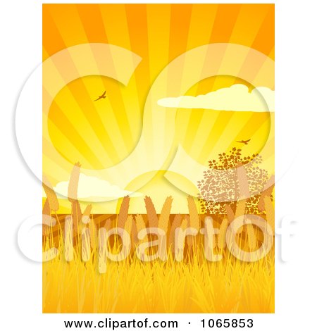 Clipart Wheat Fields Under An Orange Sunset - Royalty Free Vector Illustration by elaineitalia