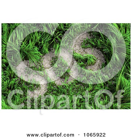 Clipart 3d SOS Patch In Grass - Royalty Free CGI Illustration by chrisroll