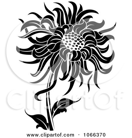 Clipart Black And White Sunflower - Royalty Free Vector Illustration by Vector Tradition SM