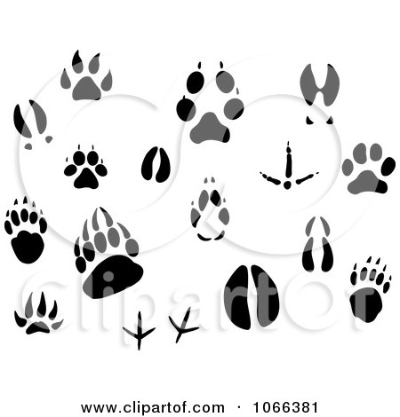 Clipart Animal Tracks - Royalty Free Vector Illustration by Vector Tradition SM