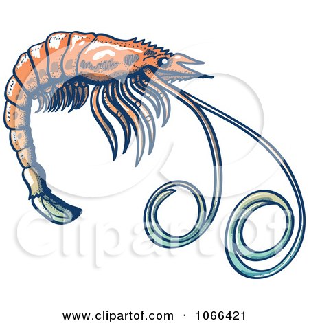 Clipart Profiled Shrimp - Royalty Free Vector Illustration by Zooco