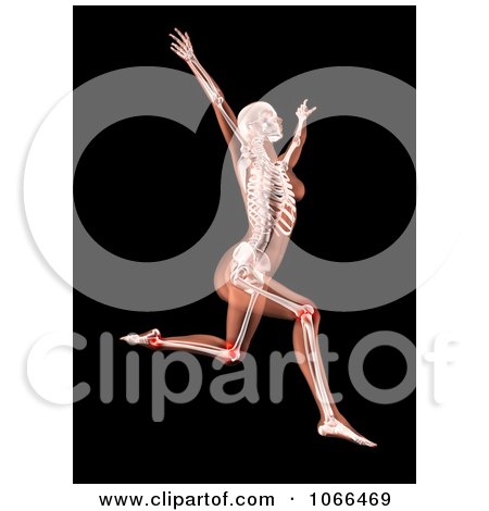 Clipart Medical 3d Female Skeleton Leaping, Leg Joints Highlighted - Royalty Free CGI Illustration by KJ Pargeter
