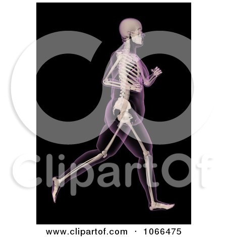 Clipart Medical 3d Overweight Female Skeleton Running - Royalty Free CGI Illustration by KJ Pargeter