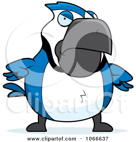 Clipart Pudgy Mad Blue Jay - Royalty Free Vector Illustration by Cory Thoman