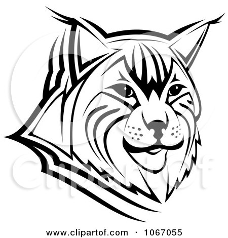 Clipart Bobcat Face - Royalty Free Vector Illustration by Vector Tradition SM