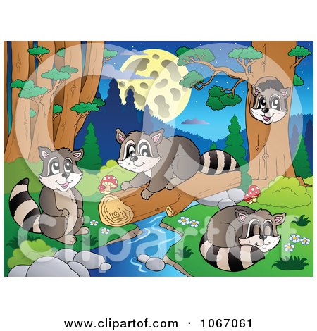 Clipart Raccoons Playing By A Stream 3 - Royalty Free Vector Illustration by visekart
