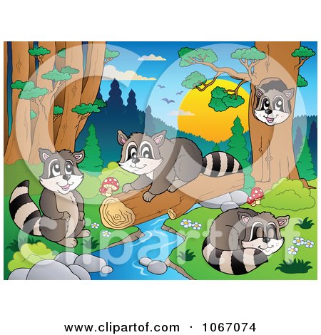 Clipart Raccoons Playing By A Stream 2 - Royalty Free Vector Illustration by visekart